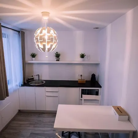 Mani Studio Apartment Sibiu Exterior foto