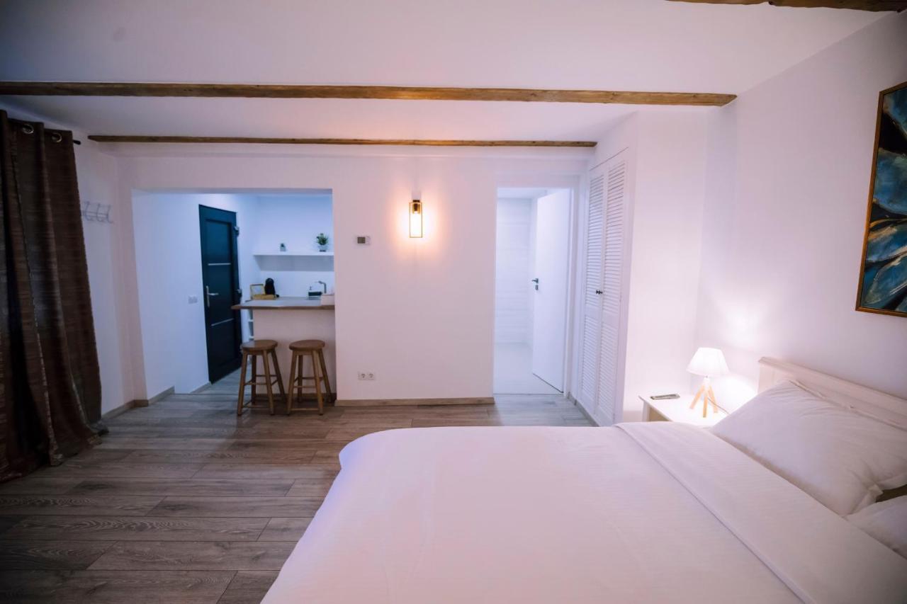 Mani Studio Apartment Sibiu