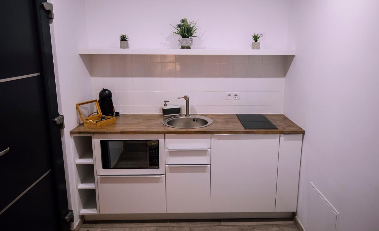 Apartment Mani Studio Sibiu