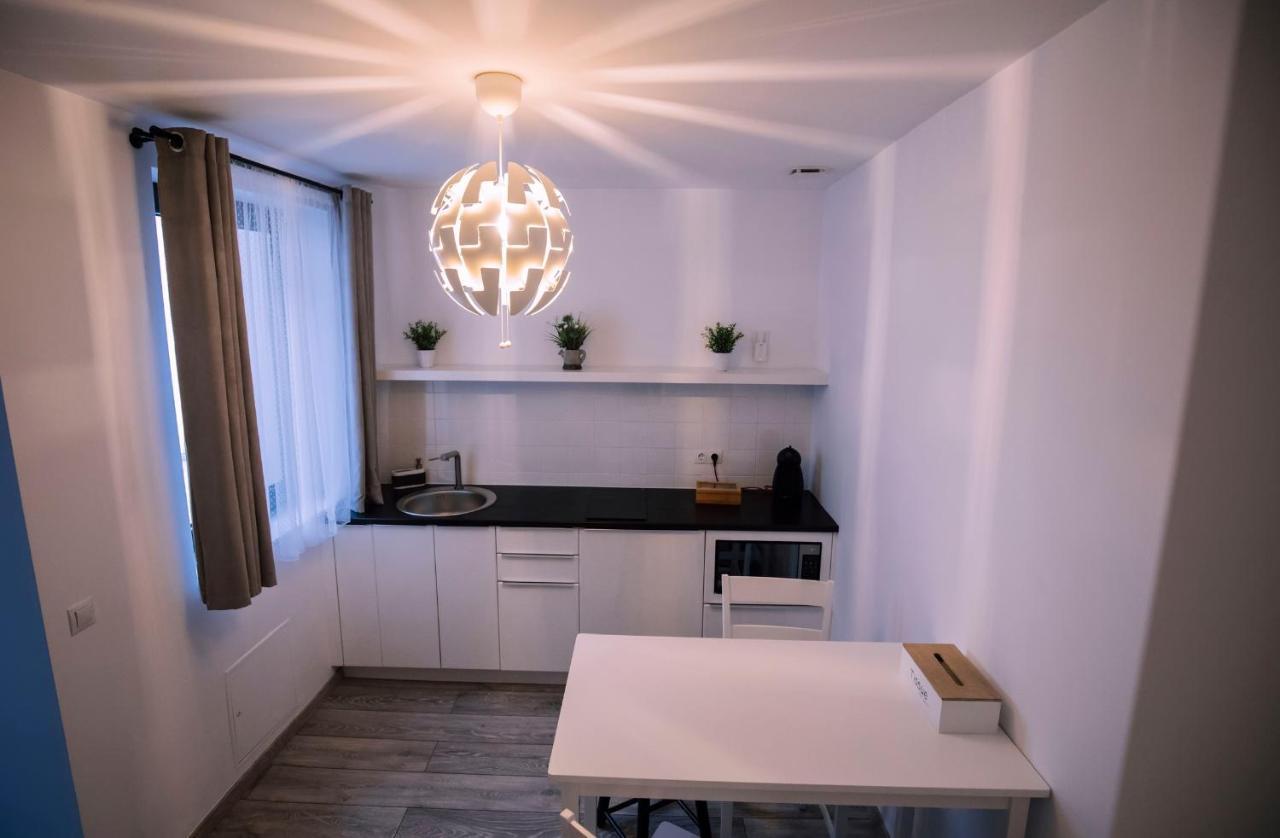 Apartment Mani Studio Sibiu