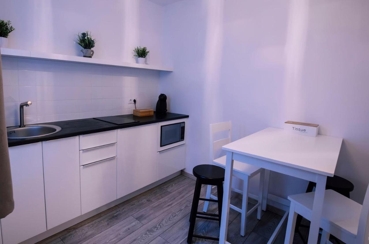 Mani Studio Apartment Sibiu